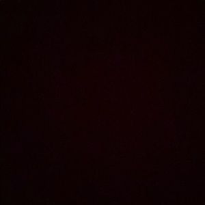 Meet your Posher, Isabella